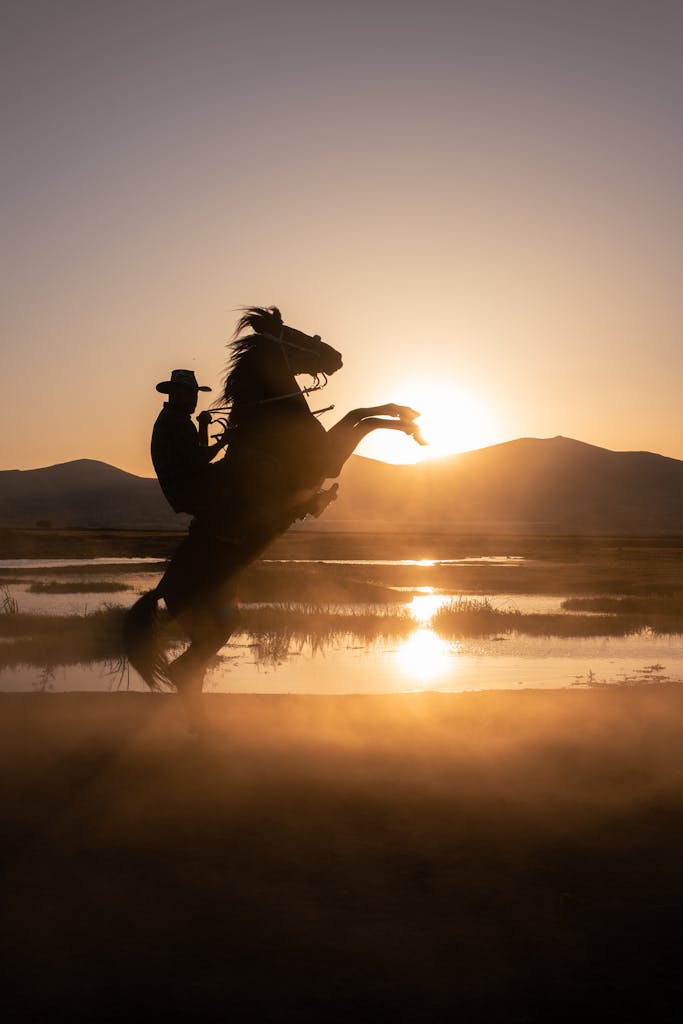 A silhouette of a cowboy riding a horse at sunset
