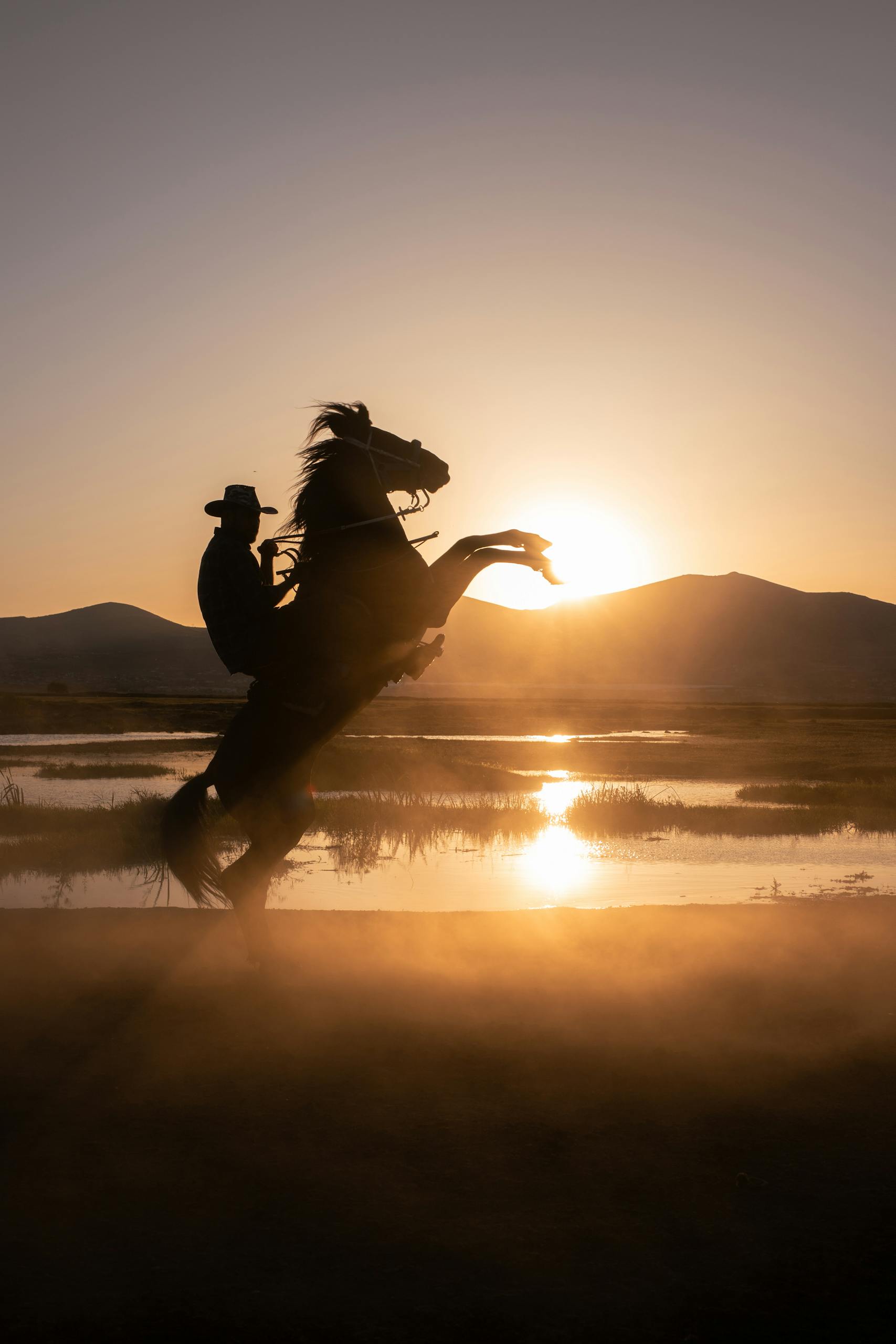 A silhouette of a cowboy riding a horse at sunset