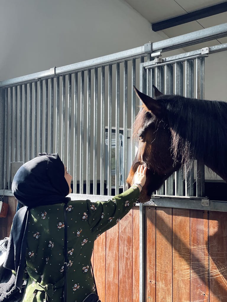 A woman petting a horse in a stable